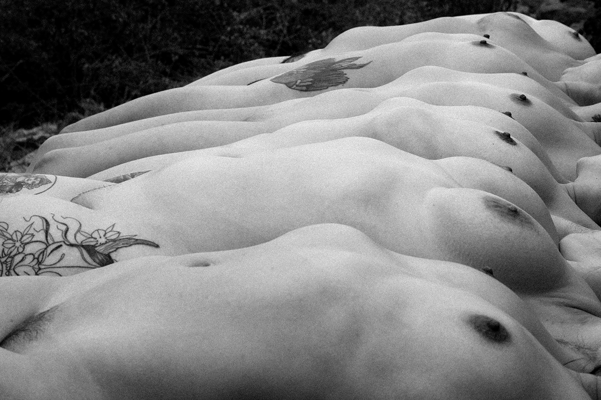 Nos fuimos al bosque