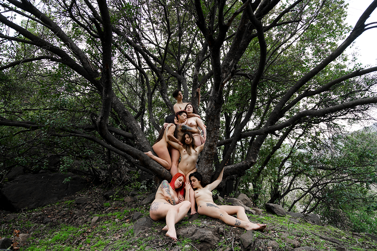 Nos fuimos al bosque